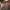 Frau und Kind fahren mit Follow-Me Kupplung zuhause los