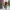 Abfahrt mit dem JobRad | Presse Downloadbereich