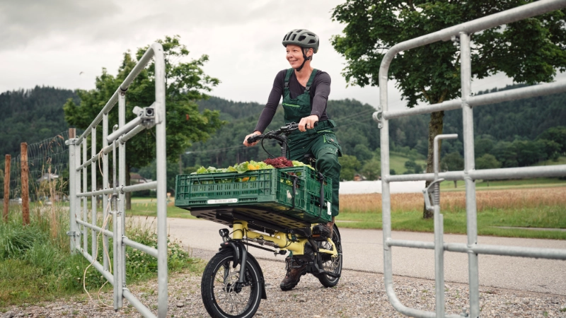 Eine Gärtnerin fährt mit ihrem Lastenrad durch ein Tor. Ihr Frontloader ist voller frischer Salatköpfe