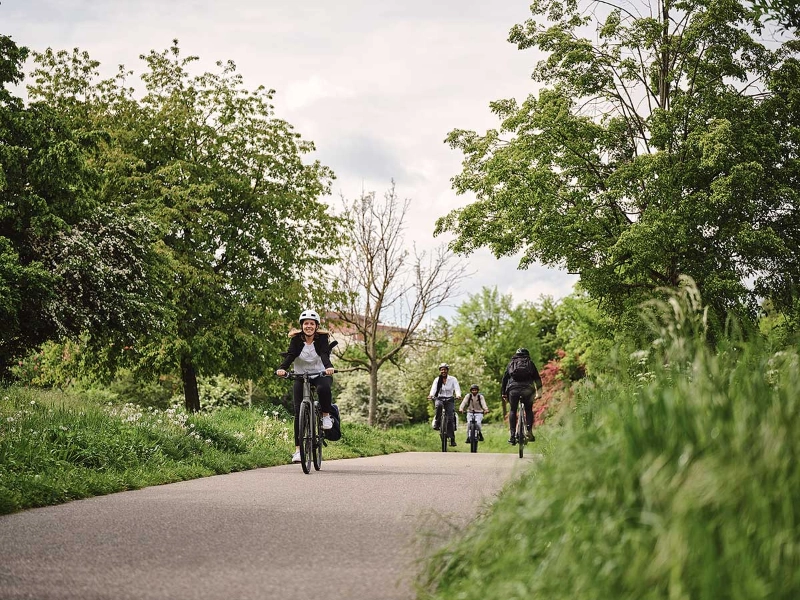 Mehrere Fahrradfahrende auf einem grünbewachsenen Fahrradweg Mehrere Fahrradfahrende auf einem grünbewachsenen Fahrradweg