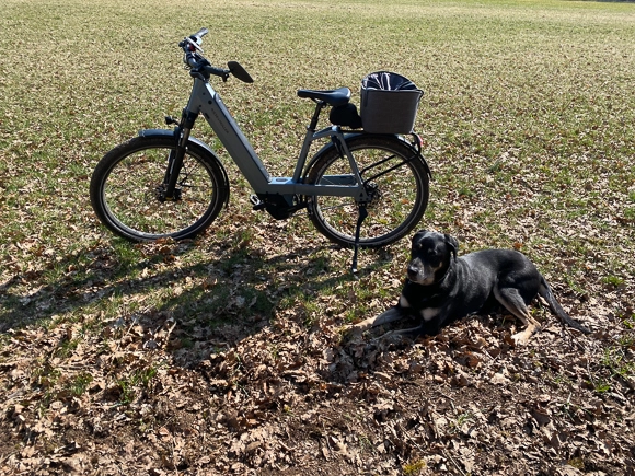 E-Bike mit Fahrradtasche steht auf einer Wiese und ein Hund liegt nebendran auf dem Gras.