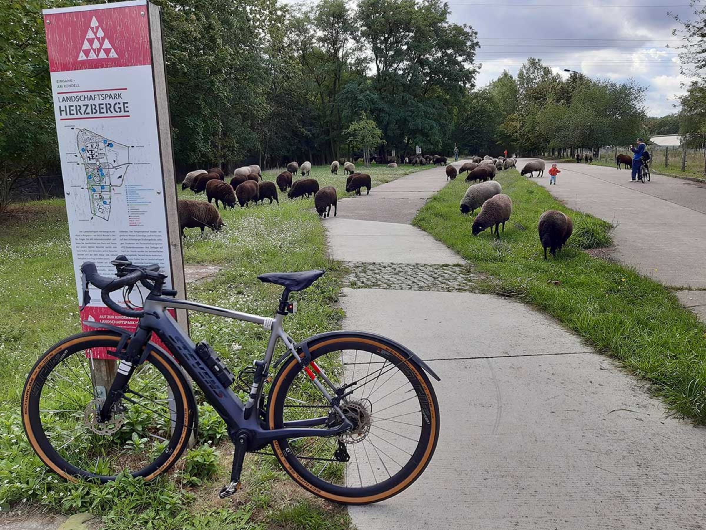 Fahrradtour zum Landschaftspark Herzberge mit JobRad