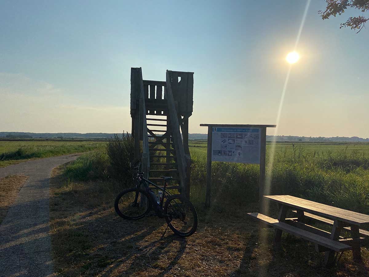JobRad Moment von Helmut: Fahrrad vor Hochsitz an blühender Wiese bei Sonnenuntergang