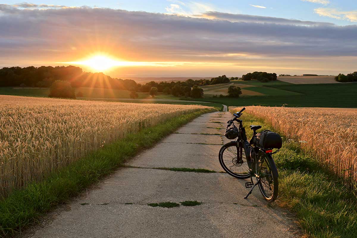 JobRad Moment von V. mit Fahrrad auf Feldweg durch gelbes Getreidefeld, Sonnenuntergang