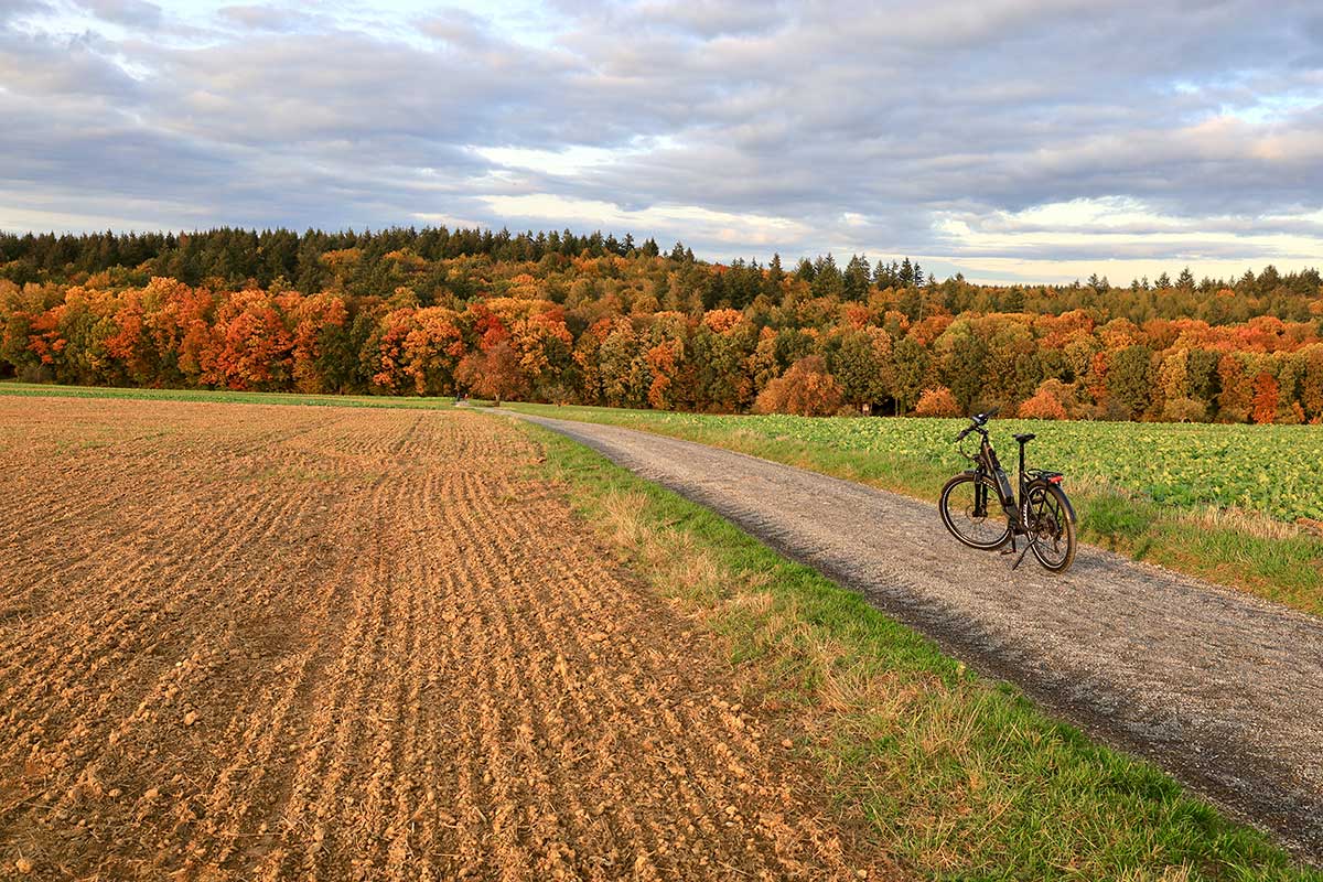 JobRad Moment von Vitali mit Fahrrad auf Feldweg neben geeggtem Feld, im Hintergrund Herbstwald