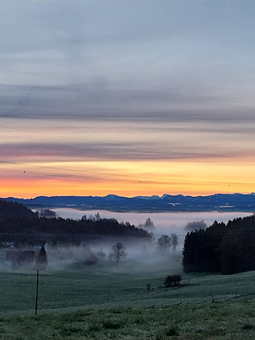 Morgendlicher Nebel über dem Tal