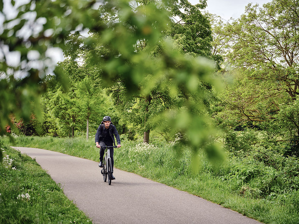 JobRadler Arbeitsweg Grüner Fahrradweg
